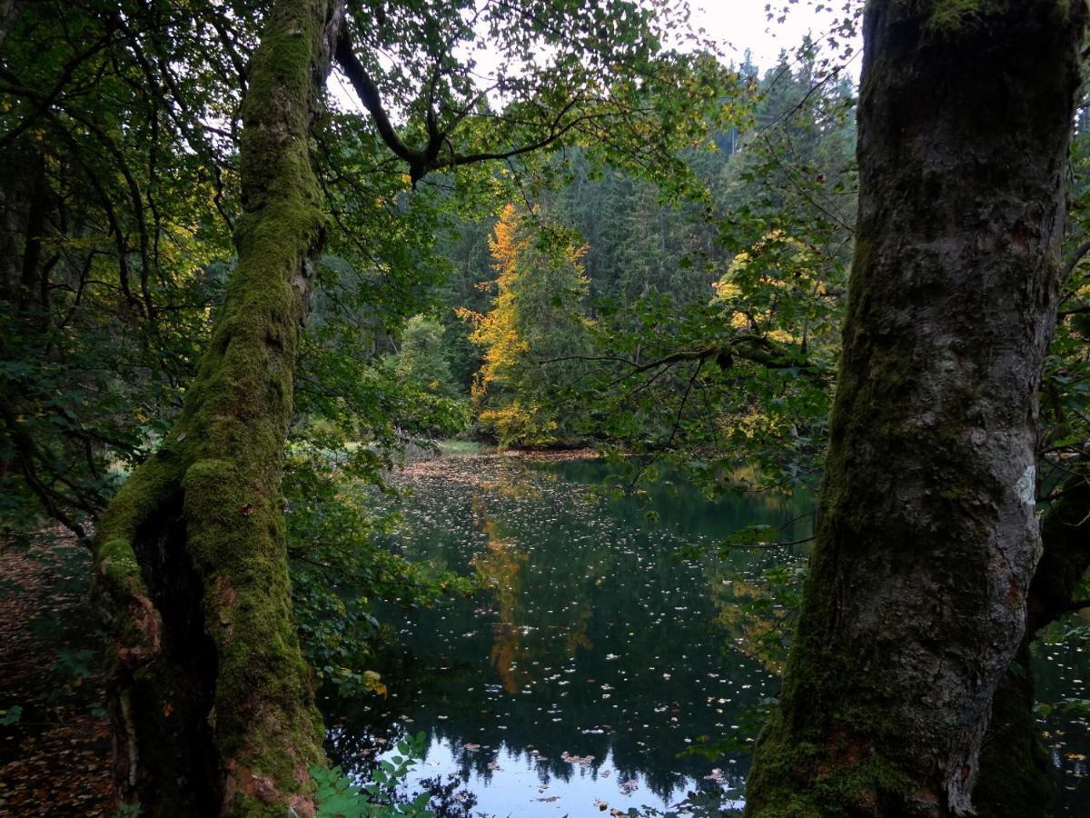 Ferienwohnung Am Berggrabenweg Ilmenau Bagian luar foto